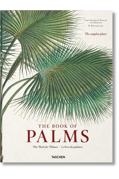 Taschen H. Walter Lack - Das Buch Der Palmen / Le Livre Des Palmiers
