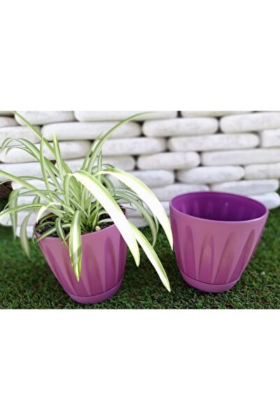 Ekodoğa Papatya Saksı 2 Adet 0,7 Lt Lila Renkli Saksı Plastik Saksı Çiçek Sak...