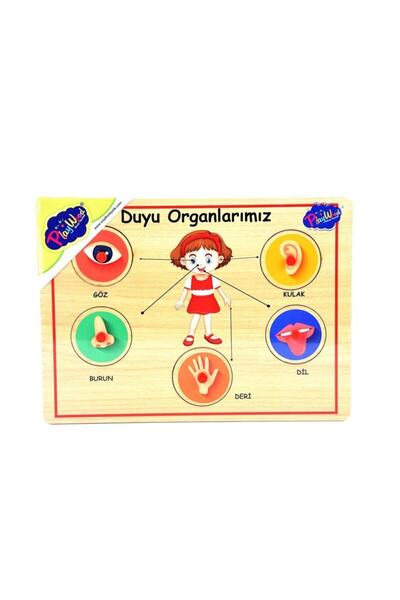 Genel Markalar Playwood Ahşap Puzzle Duyu Ve Iç Organlarımız