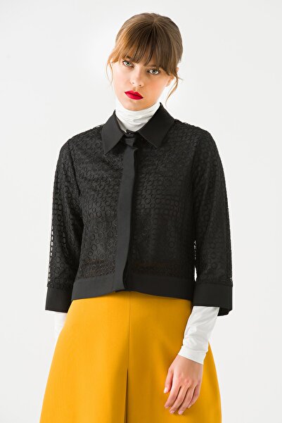 Jus De Pommes Women's Black Transparent Snap Blouse