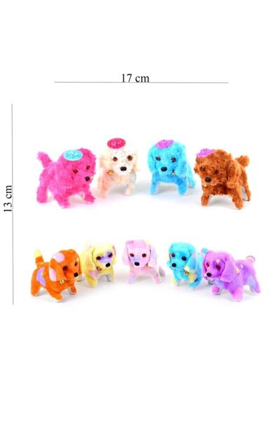 CAN OYUNCAK Pilli Sesli Işıklı Yürüyen Köpek(4 B)