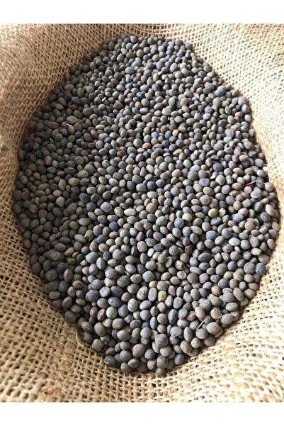 Genel Markalar Fiğ Tohumu 10 Kg Adi Yerli Fiğ 1.sınıf