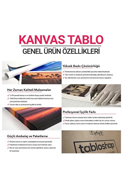TabloShop Claude Monet - Japon Yaya Köprüsü (JAPANESE FOOTBRİDGE) Kanvas Tablosu