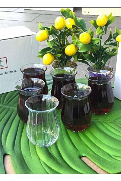 Paşabahçe 6 Adet Linka Çay Seti