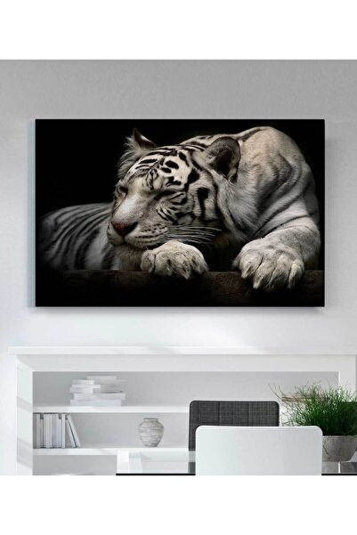 VeraStore Modern Hayvan Kaplan