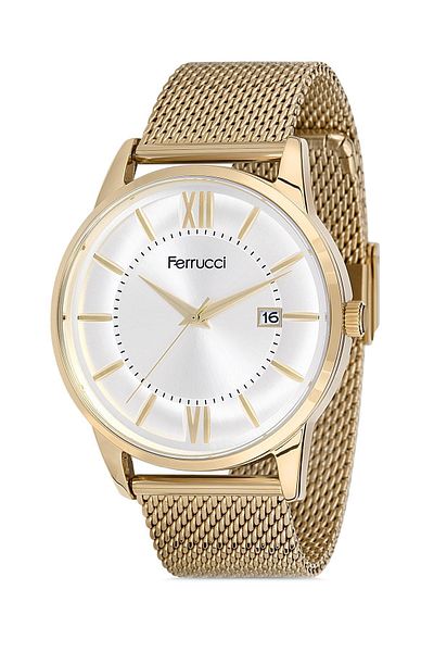 Ferrucci Men's Wristwatch 9fm2258