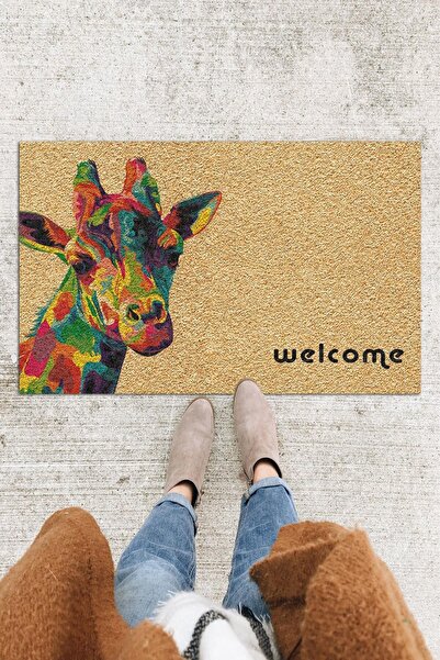 Monnhein سجادة باب زيبرا ملونة، سجادة باب مزخرفة، سجادة باب خارجية، سجادة داخلية للمنزل