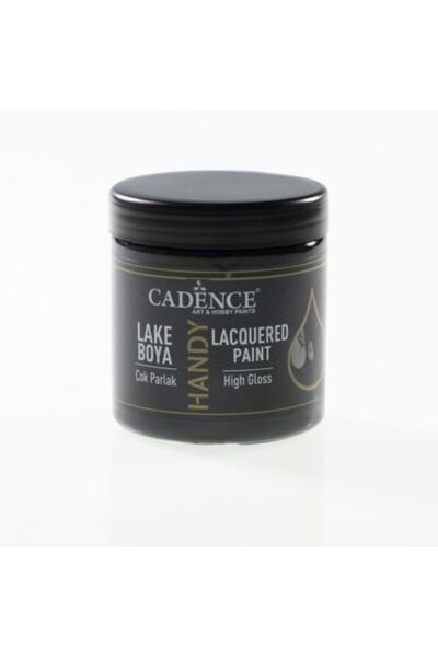 Cadence Handy Lake Boya L-060 Siyah 250ml
