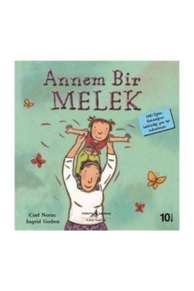Pinhan Yayıncılık Andersen Masalları Cilt: 2 - Hans Christian Andersen