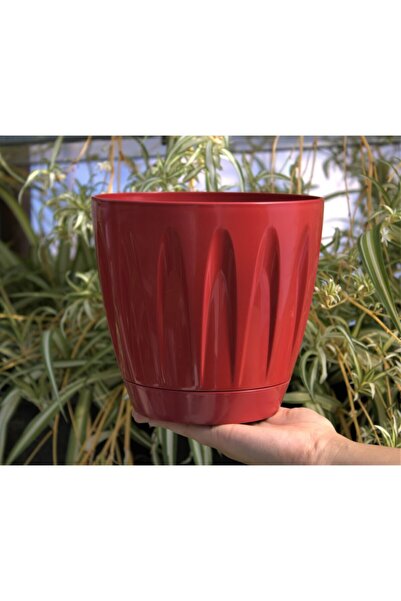 Doğalsan Tarım Dekoratif Saksı 3 Lt 1 Adet Kırmızı Papatya Saksı Renkli Saksı...
