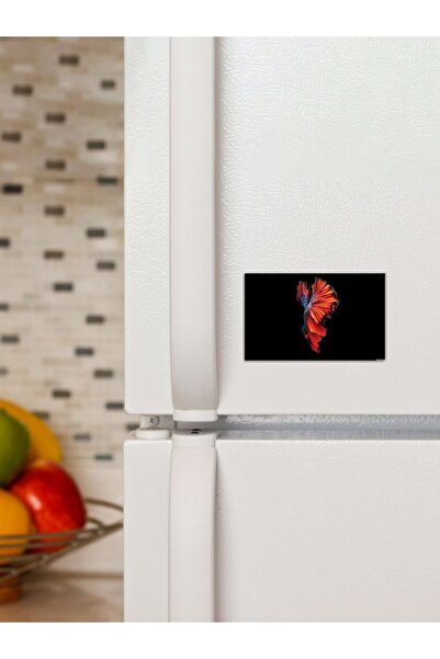 Panorama Ajans Beta Balığı Süs Dekor 6x9cm Magnet