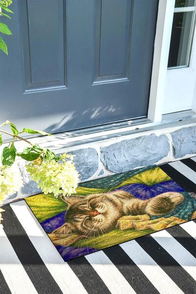 Monnhein Door Mat Decorative Outdoor/Home/Bathroom/Kitchen/Bedroom/Entryway Door Mat
