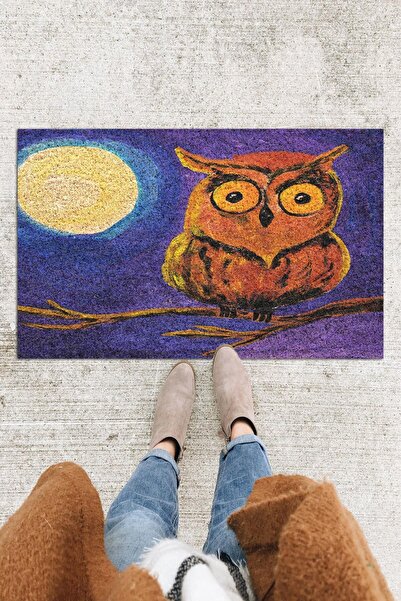 Monnhein Covoraș de ușă Owl Decorativ în aer liber/interior/baie/bucătărie/do...