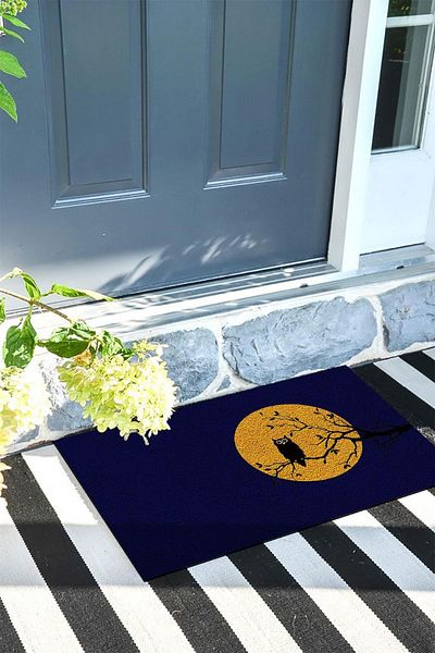 Monnhein Door Mat Decorative Outdoor/Home/Bathroom/Kitchen/Bedroom/Entryway Door Mat