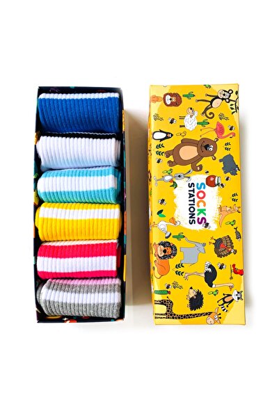 Socks Stations Цветни къси чорапи с райета, кутия от 6 броя