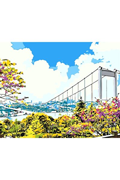PlusHobby Istanbul Boğazı Sayılarla Boyama Seti 40x50 cm Tuval
