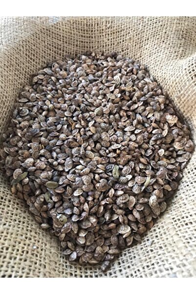 Genel Markalar Korunga Tohumu 25 Kg 1.sınıf