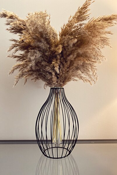 Alyones Dekoratif 7'li Pampas