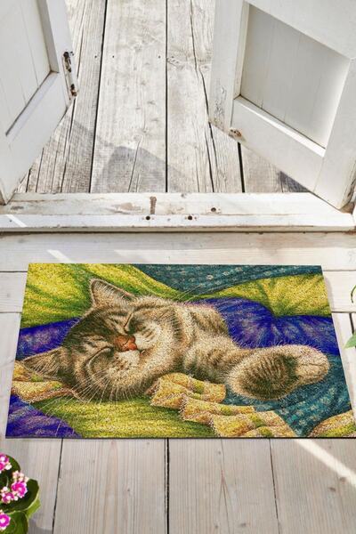 Monnhein Door Mat Decorative Outdoor/Home/Bathroom/Kitchen/Bedroom/Entryway Door Mat