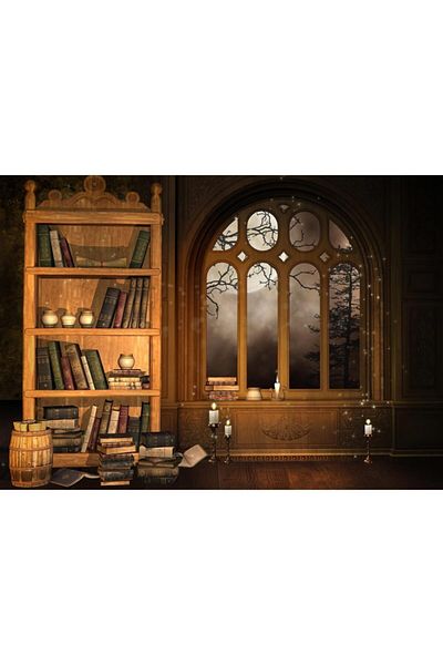 Nova Puzzle لغز مكتبة الساحر نوفا 1000 قطعة