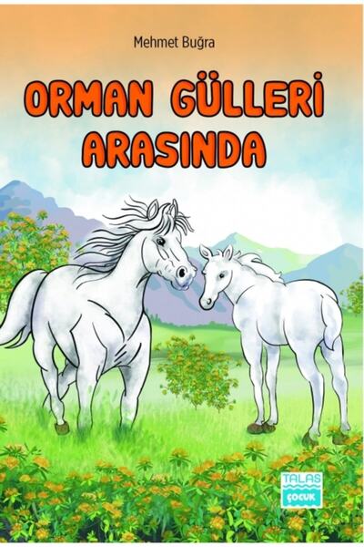 TALAS ÇOCUK سلسلة روايات الأطفال الأصلية (5 كتب + مصنف) +10 سنوات