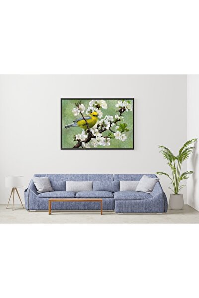 Nova Puzzle نوفا 1000 قطعة لغز رسول الربيع /