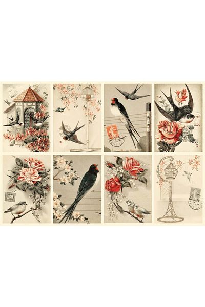 Nova Puzzle Nova 1000 Piece Birds And Flowers Collage Puzzle - Jodielee