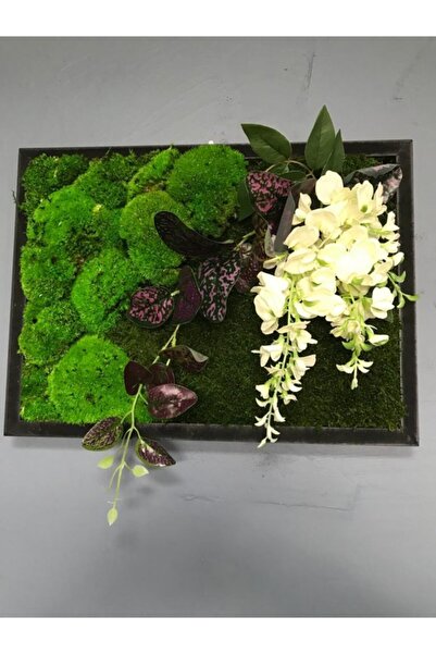 Paciano Flowers Ahşap Çerçeveli Stabilize Yosun Tablo
