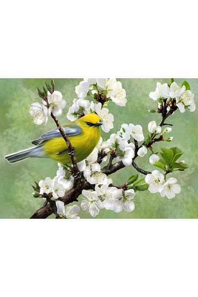 Nova Puzzle Nova 1000 Piece Spring's Messenger Puzzle /