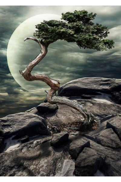 Nova Puzzle نوفا 1000 قطعة لغز معجزة الطبيعة