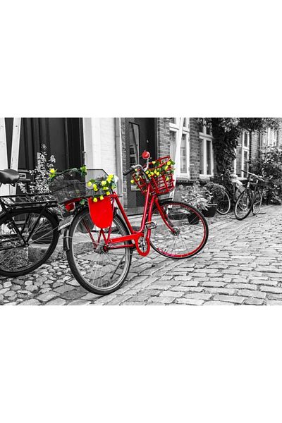 Nova Puzzle Nova 1000 Piece Red Bicycle Puzzle - Slidezero