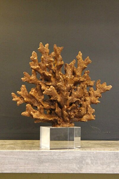 Ritzy Dekor Ev Dekorasyon Dekoratif Mercan Kahve Rengi Büyük Biblo Heykel