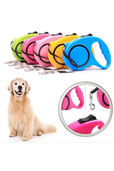 CMT 5 Metre Otomatik Makaralı Köpek Gezdirme Tasması Köpek Yürüyüş Aparatı Pu...