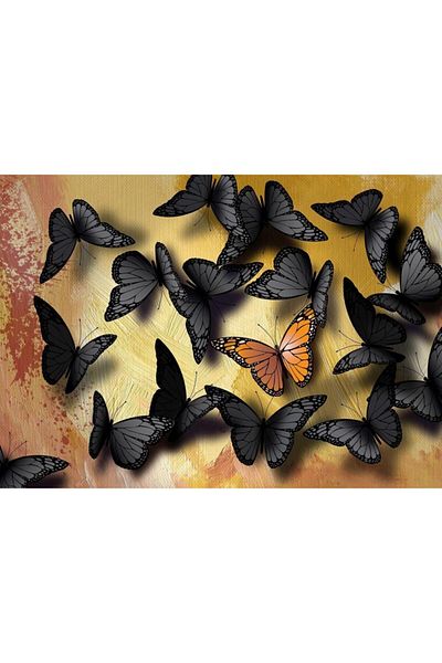 Nova Puzzle Nova 1000 Piece Being Unique Puzzle - Butterflies