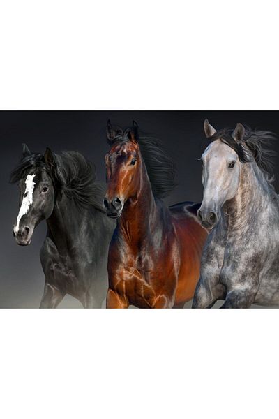 Nova Puzzle Nova 1000 Piece Three Noble Heart Puzzle