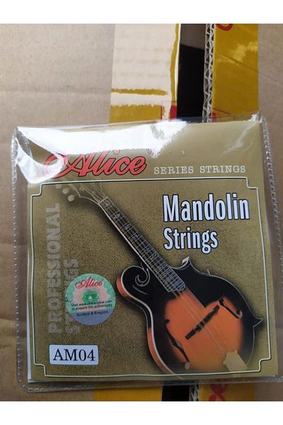 Alice Am-04 Model Mandolin Wire Full Set-pena with Gift