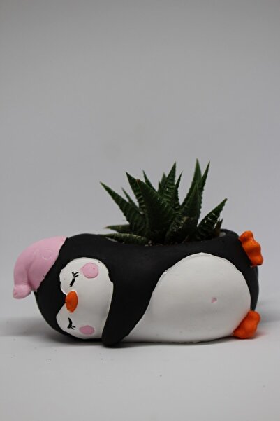 cactusgarden Sevimli Penguen Saksı Özel Dekoratif Kaktüs Ve Sukulent Saksısı