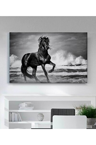 Genel Markalar At Kanvas Tablo