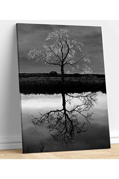 Genel Markalar Ağaç Yansıması Tablosu