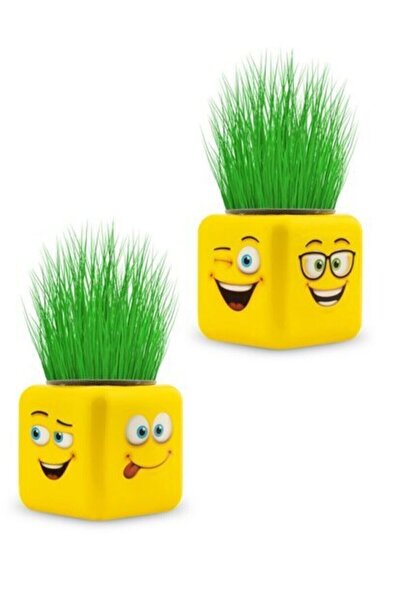 Hyd 2 Adet Çimoji Küp Çim Adam - Çocuk Ve Yetişkin - Oyun Ve Eğitici