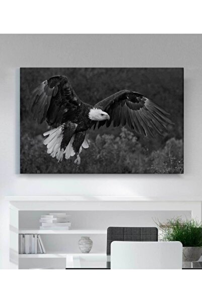 Genel Markalar Kartal Kanvas Tablo