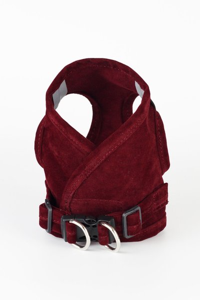 Petköy Cat Walking Collar - Cat Collar Chest Collar Set Soft Suede Burgundy Color