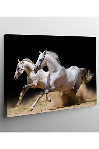 StellaStore Beyaz At Kanvas Tablo