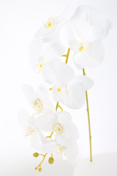 Yapay Çiçek Deposu Yapay Dal Baskılı Orkide Çiçeği 88 Cm Beyaz Ortası Sarı