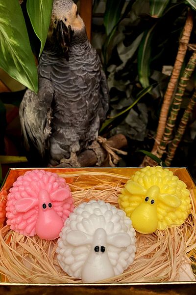 FANTASTİK SANAT ATÖLYESİ 3 Pcs Lamb Figure Bath Soap Set - Honey, Strawberry, Vanilla