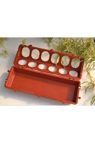 Doğalsan Tarım Civciv Suluğu 2 Adet Kırmızı Suluk 12 Gözlü Civciv Suluğu Bıldırcın Keklik Tavuk Güvercin Suluğu