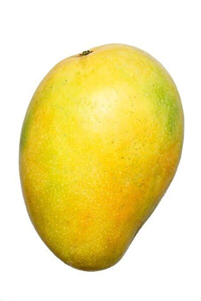 DOĞAL NARENCİYE SEBZE MEYVE DÜNYASI Mango