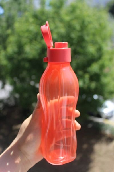 Tupperware 750 ml Bottle Pomegranate Flower