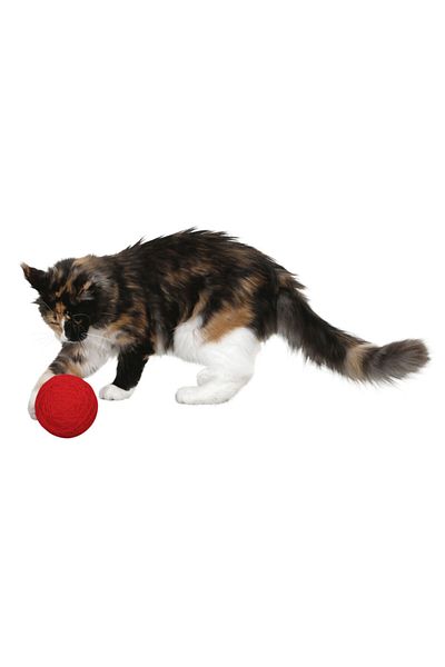 KERBL Red Yumak with Toy Rattle for Blind Cats [diameter 10 Cm ]