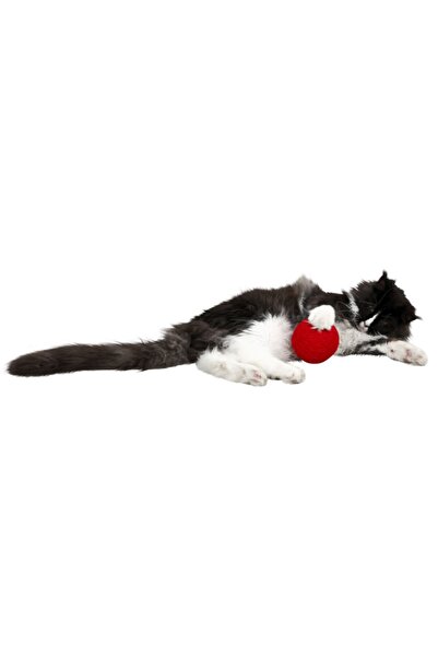 KERBL Red Yumak with Toy Rattle for Blind Cats [diameter 10 Cm ]